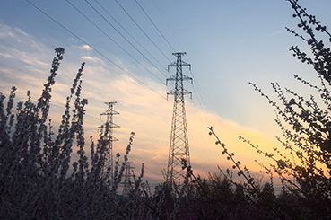 國網河南電力推動155個鄉村電氣化項目落地